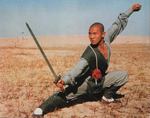 shaolin031.jpg